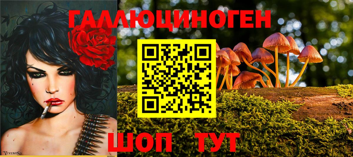 Владимир  ГАШ  LSD-25  Вход с VPN  Каннабис  Героин  Мефедрон кристаллы 