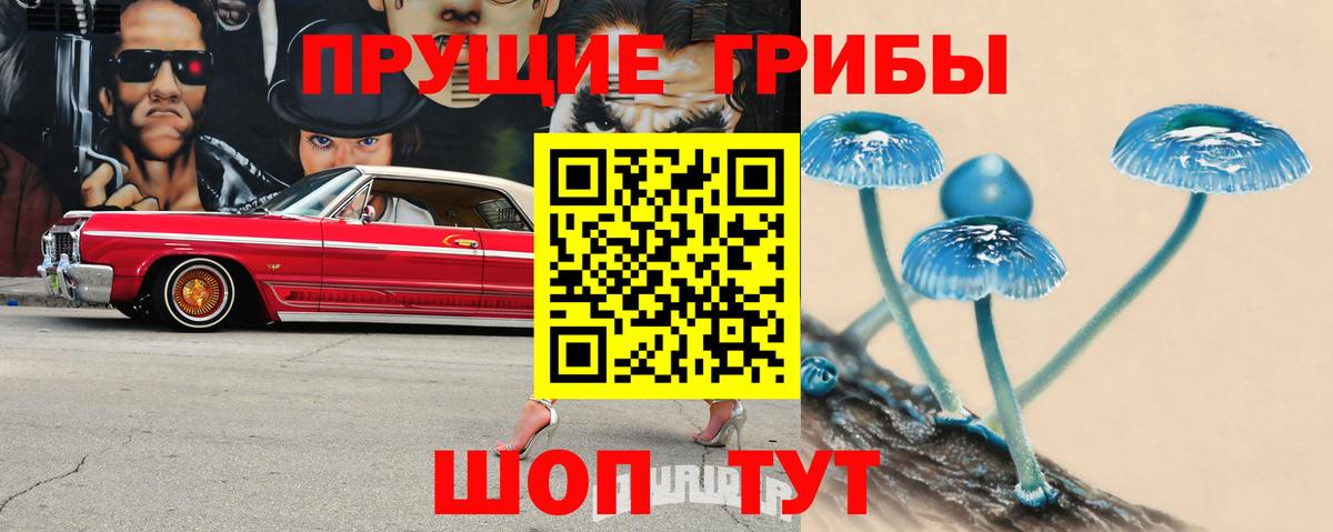 Псилоцибиновые грибы мицелий Владимир