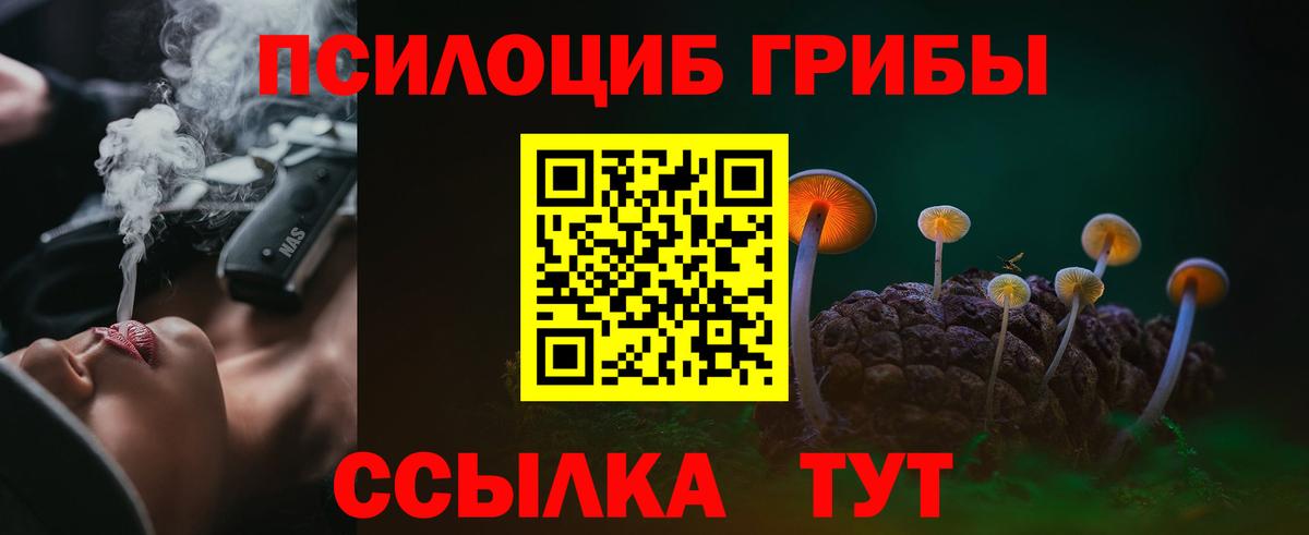Галлюциногенные грибы Magic Shrooms  продажа наркотиков  Владимир  Вход с VPN 
